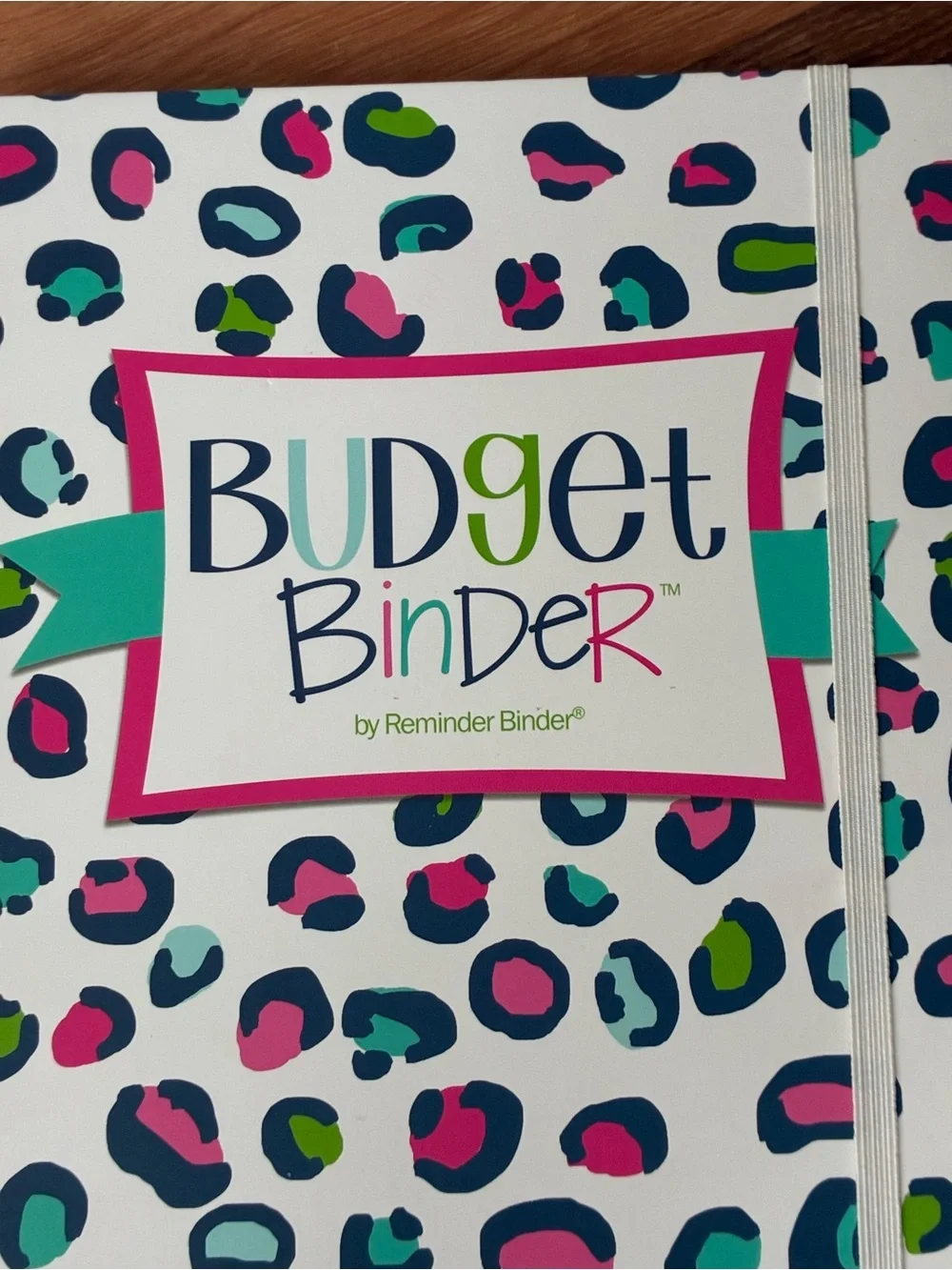 Denise Albright 12-Month Budget Planner, Bill & Expense Tracker, Undated, NWT